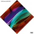 WILD BEASTS. Smother, nº12 Popout de 2011